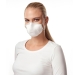Moldex 2400 Classic FFP2 non valved mask